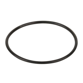 Ущільнення корпусу насоса Kripsol КА, КАР (RKA220.R, RBH0017.00R)