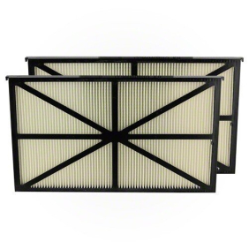 Фільтр для пилососа Hayward, комплект 2 шт (RCX70101PAK2)